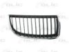 BMW 51137120008 Radiator Grille